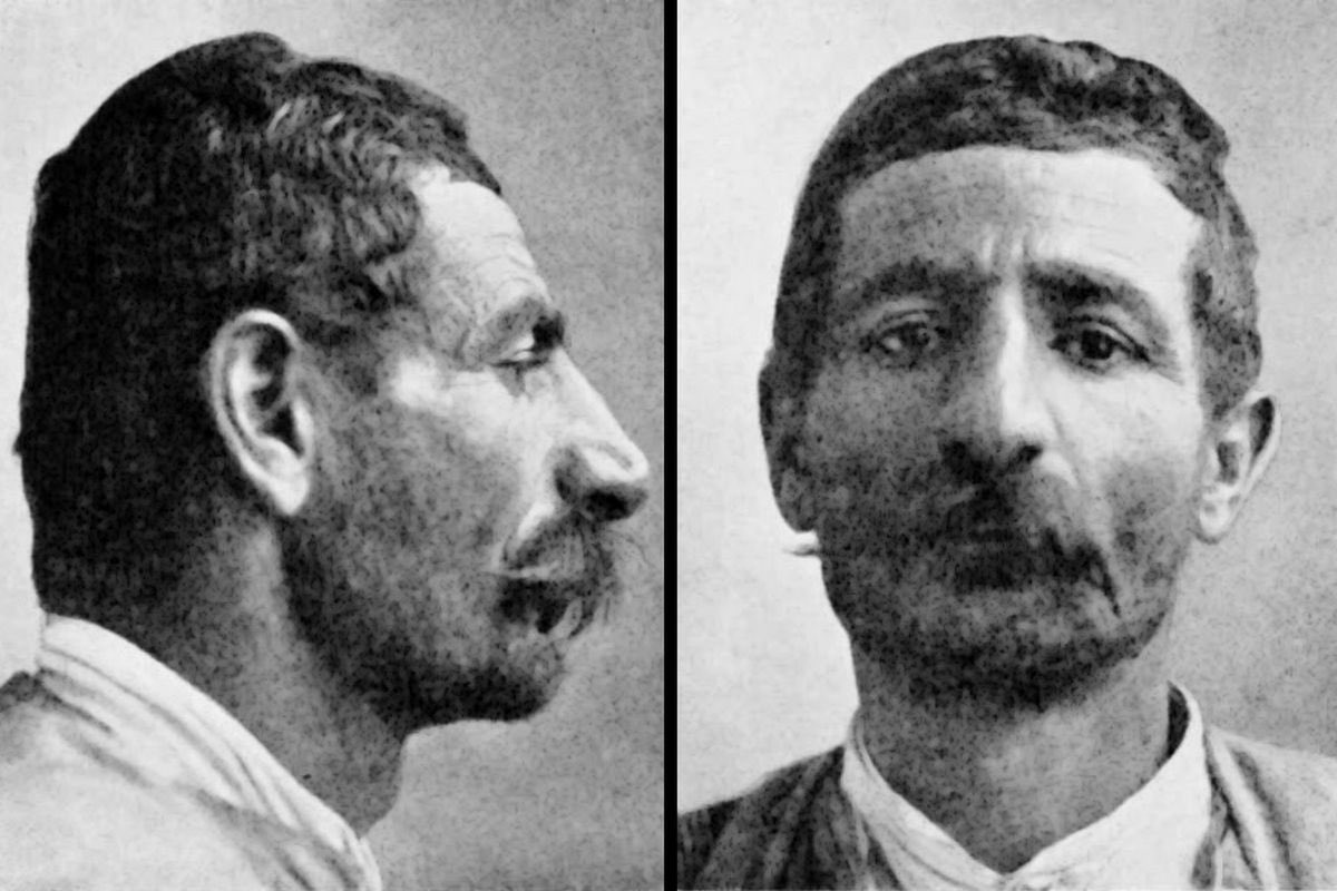 Cloaky tweet media