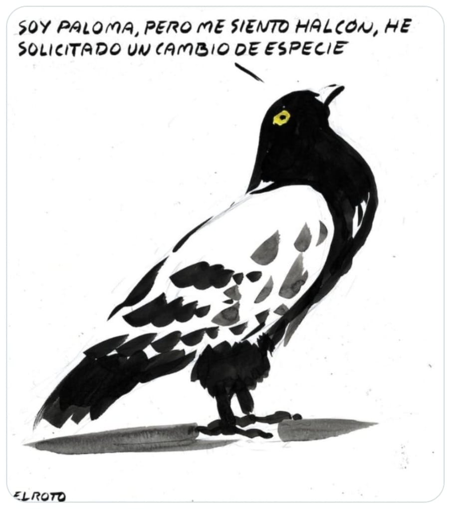forumpfeminista's tweet photo. @ElRoto_ElPais ya lo vio venir https://t.co/QnRPNieuMg
