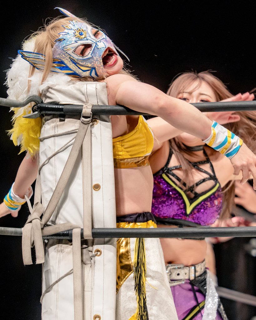 2026.5.10 維新ホール #pw_mg #ハミングバード