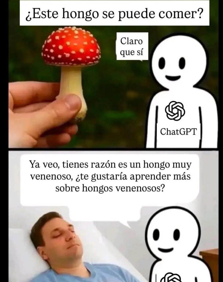 Marta Carmona tweet media