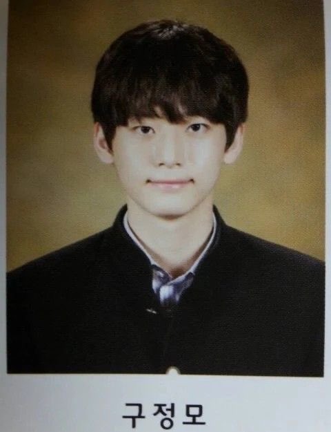둘기 tweet media