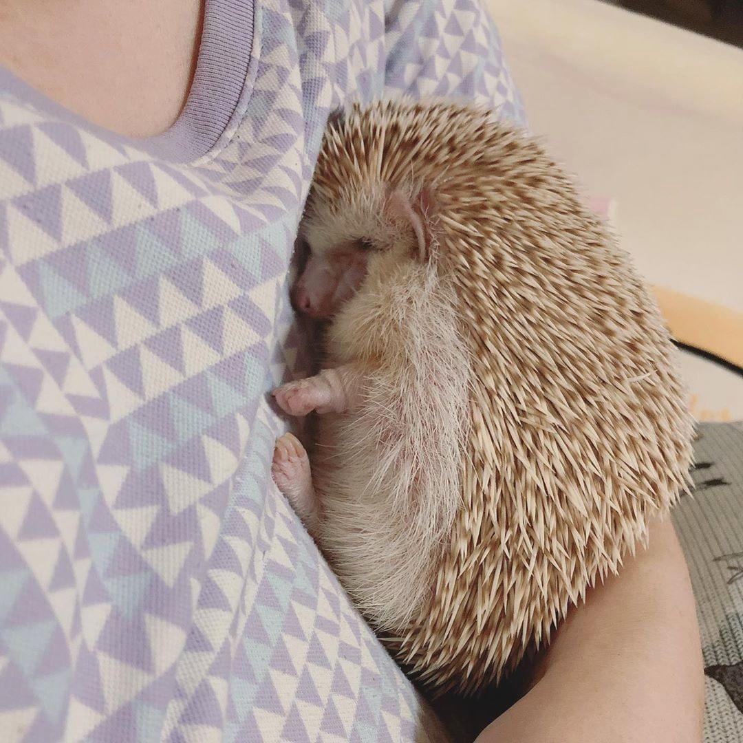 La Daronne Narvali 😎🦔 tweet media