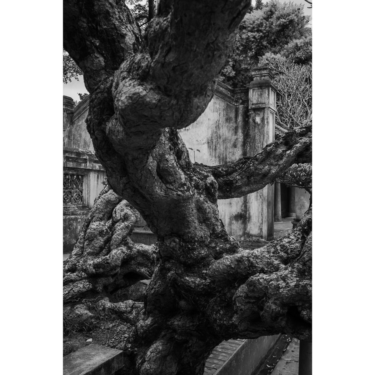 John Vink tweet media