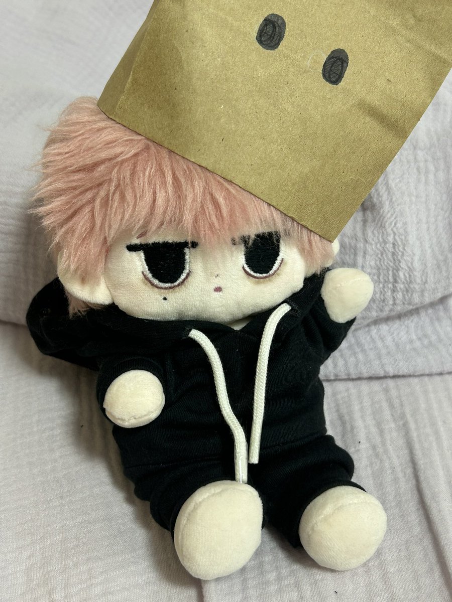 ぴよぴっこ🧸ぬい系YouTuber🐤 (@piyopicco) / Posts and Replies / X