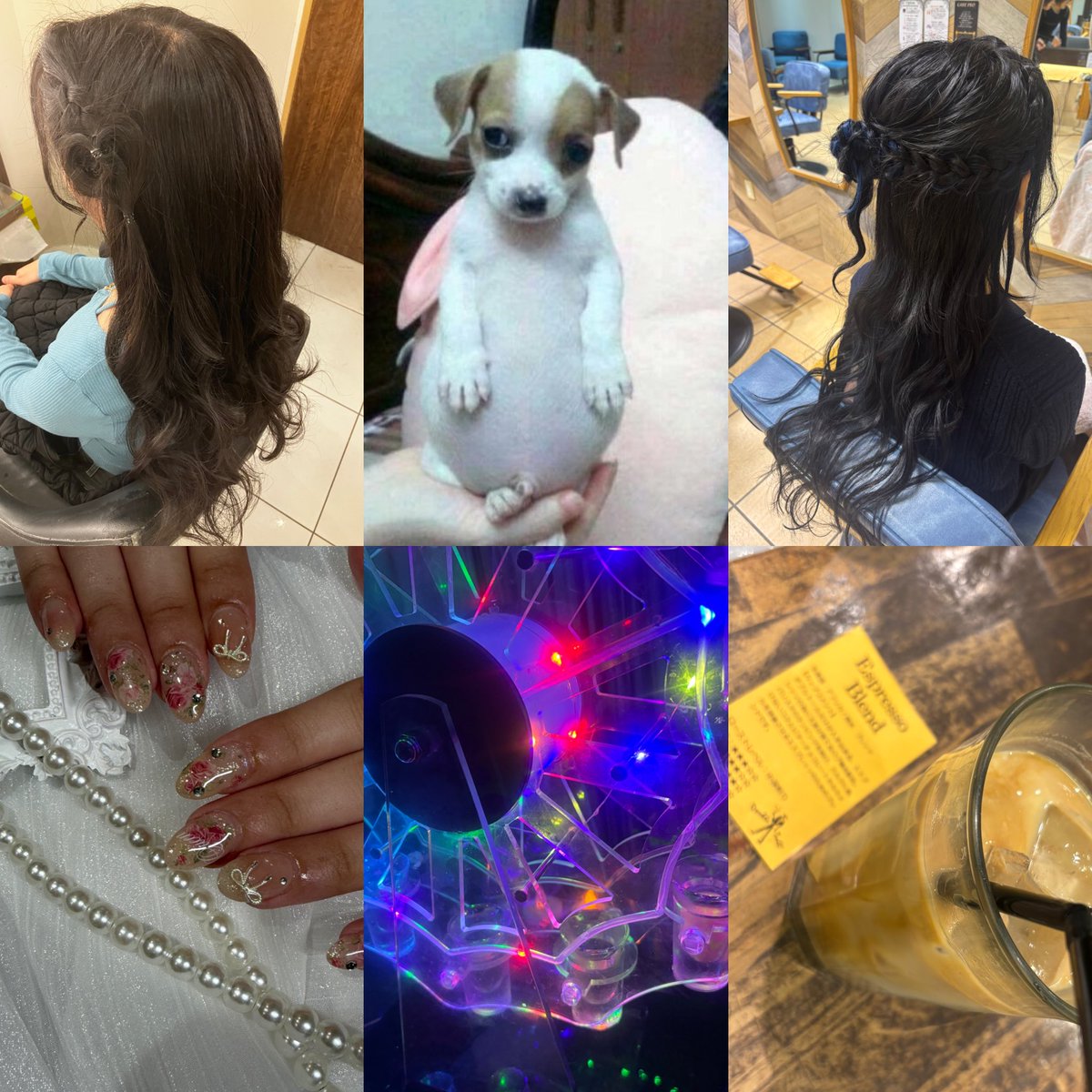はなちゃ🐶🎀 tweet media