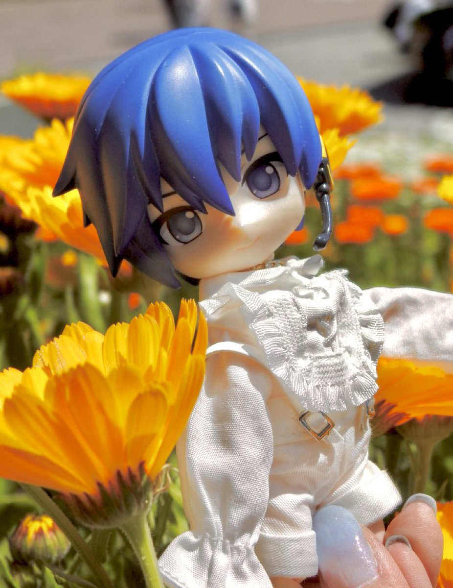 すそ★あげ吉 tweet media