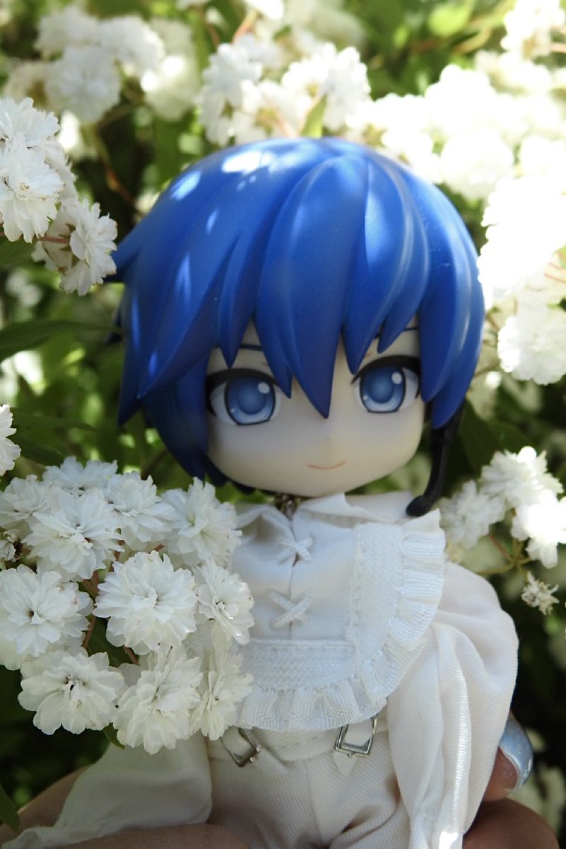 すそ★あげ吉 tweet media