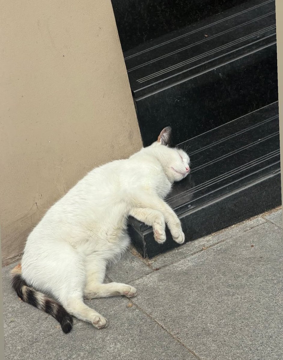 İNCİTMEYİN bir merdiven taşını kendine yastık yapan bu Masum küçük hayatları......... 😔😔😔