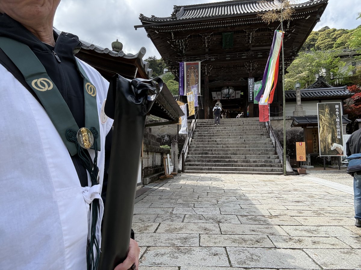 nobsait's tweet photo. #西国三十三所
8番 豊山 長谷寺
#日本百観音 95/100
実は私は真言宗豊山派の檀家なので、法起院と総本山 長谷寺にお詣りする際は檀家用の輪袈裟を着けてのお詣りです。
今回はちょうど「ぼたん祭り・ぼたん回廊」が催されていて、とても奇麗でした。さすが"花の御寺"です！
折しも開山1300年の記念法要の直後で、境内のあちこちに開山1300年ののぼりが立っていて賑やかでした。
「五重宝塔修復浄財」を奉納させていただき、ご本尊の十一面観世音菩薩様に触れることができる特別拝観をさせていただきました。ありがたや～。
もちろん百観音のお軸にも納経印を頂きました。