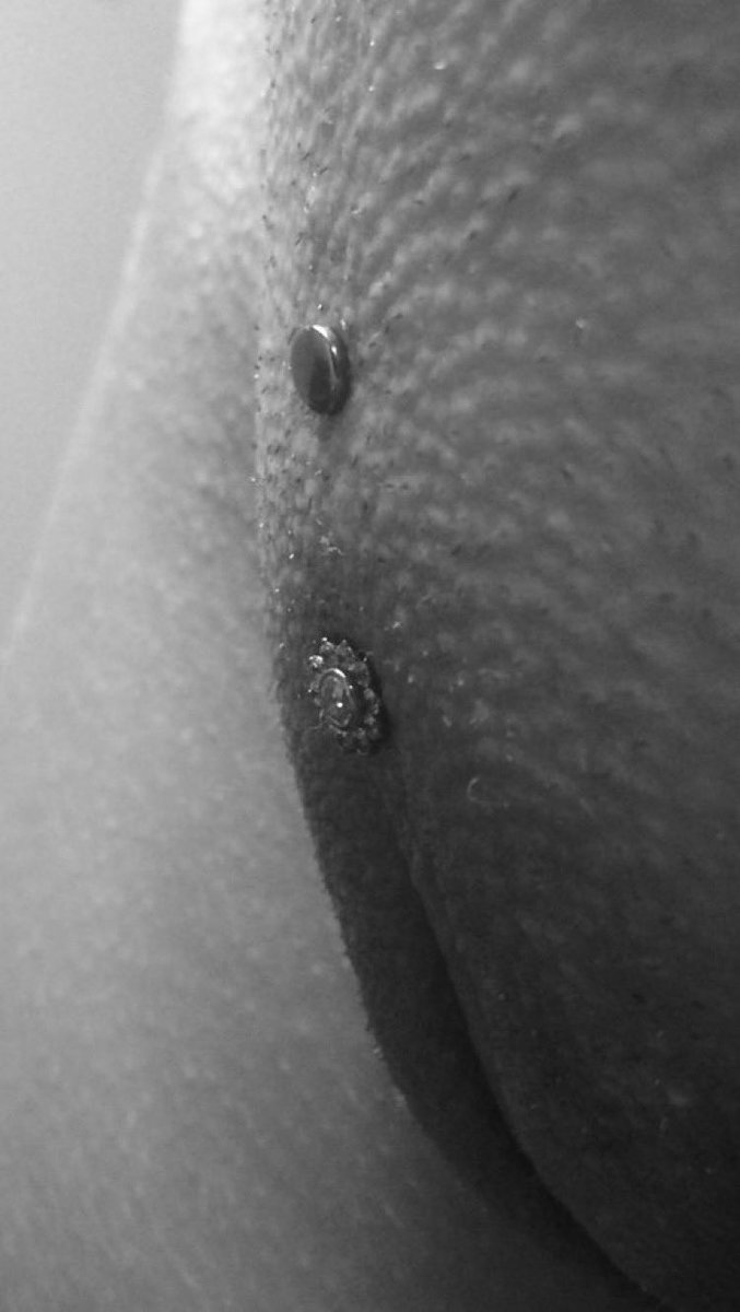 Piercing🔞 tweet media