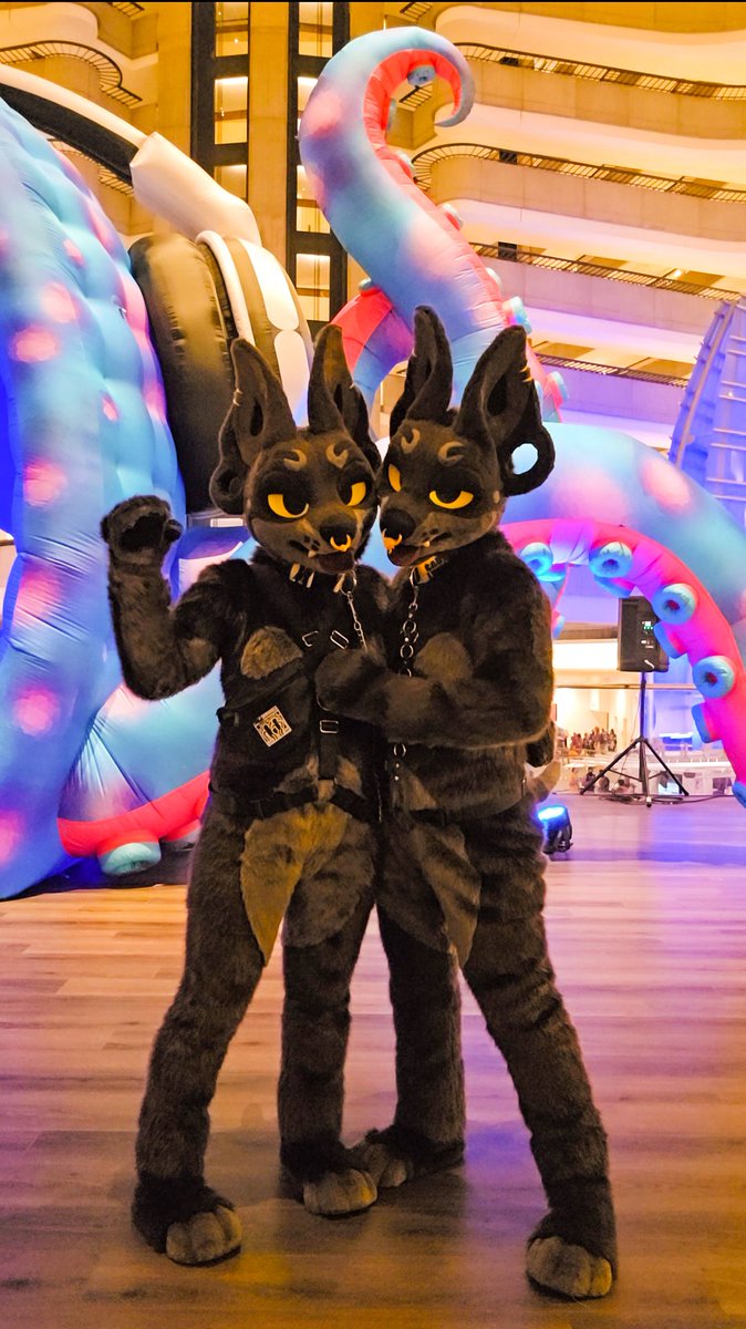 Kii's Creatures ➡️ FWA tweet media