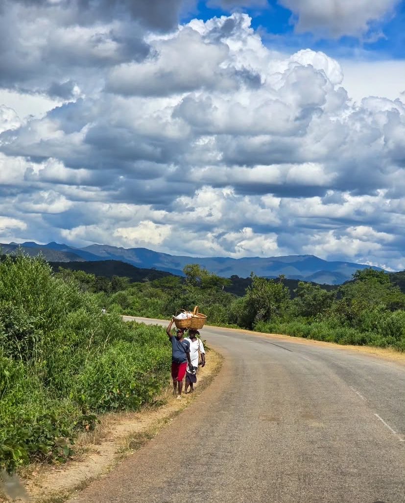 Gary161718's tweet photo. Chipinge Zimbabwe. https://t.co/9SVvJHSuGk