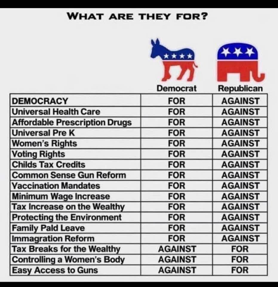 DEMS vs GOP/MAGA