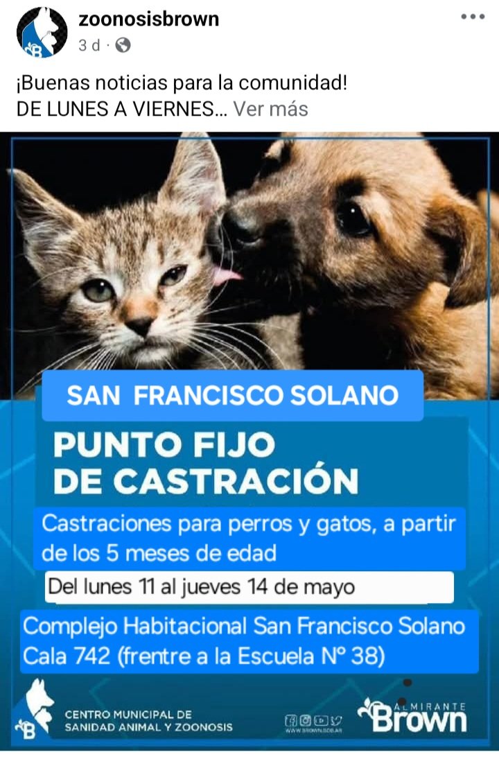 protegealanimal's tweet photo. ALTE. BROWN - SAN FCO. SOLANO
#ALTEBROWN #BROWN #SANJOSÉ #SANFRANCISCOSOLANO #SOLANO #JOSÉMÁRMOL #RAFAELCALZADA #CLAYPOLE #ADROGUÉ #DONORIONE #MINISTRORIVADAVIA #MALVINASARGENTINAS #BURZACO #LONGCHAMPS #GLEW #ZONASUR #GRANBSAS #BSAS #BUENOSAIRES #CONURBANO https://t.co/kpk06TKjVS