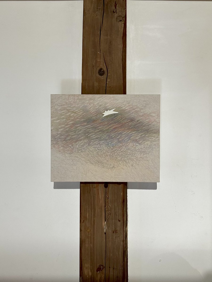 本川芽衣5.8~26 個展「風の色が見えるころ」/5.8~20新宿「同窓生」 tweet media