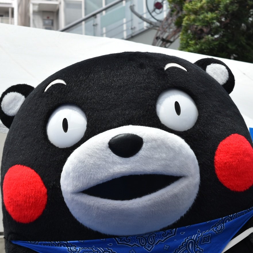 55_kumamon たくさんの笑顔に会えましたか？ モンちゃんも、よか夢ば見