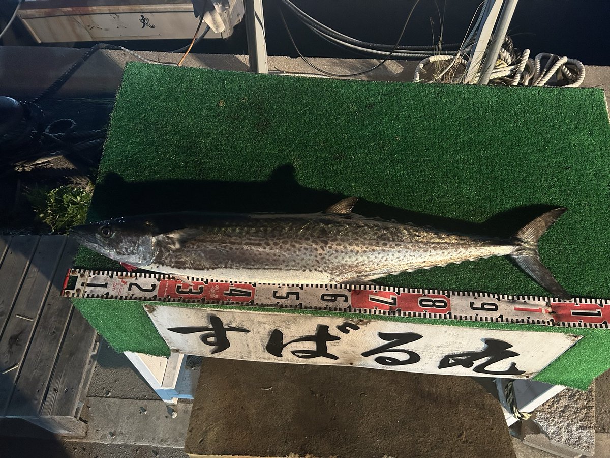 サワラキャスティング午後便
ブローウィン140jで
108cmサワラキャッチ🎣
自己ベスト更新👍