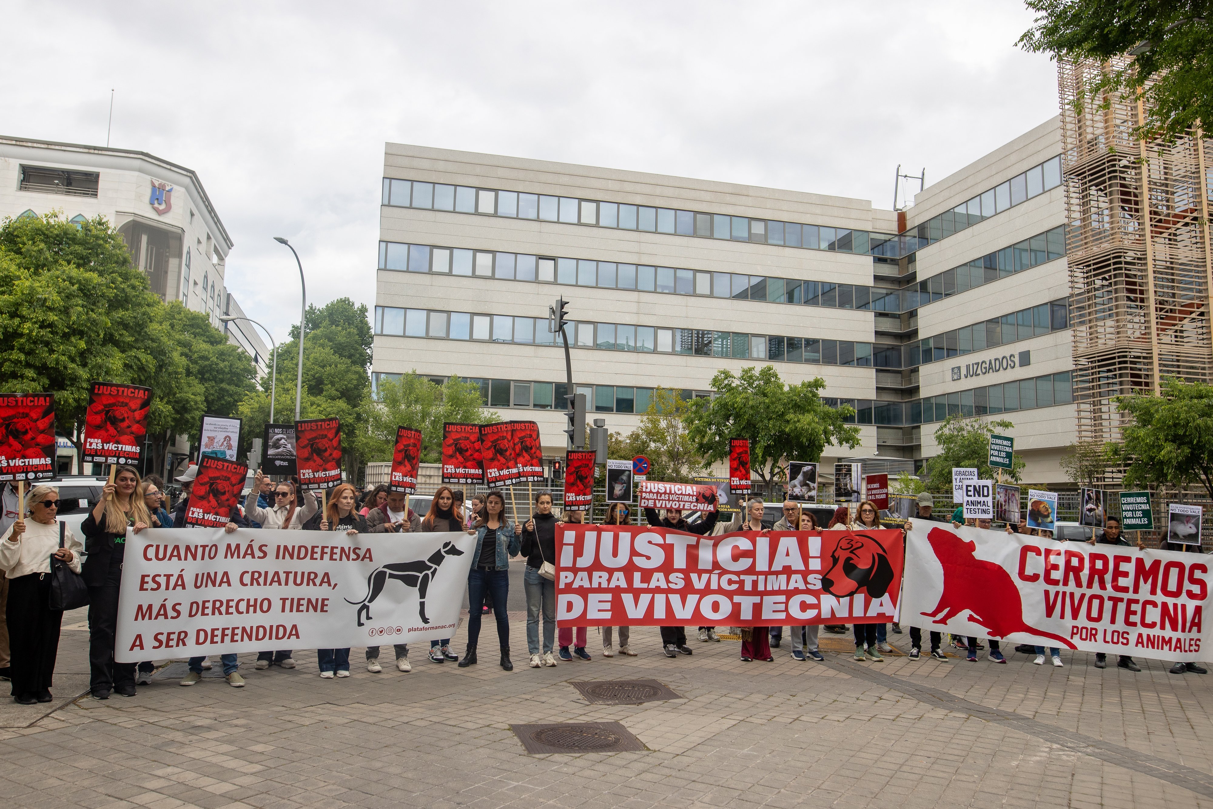 Foto cedida por PACMA