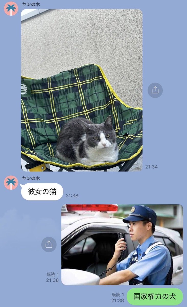 おはよう犬 tweet media