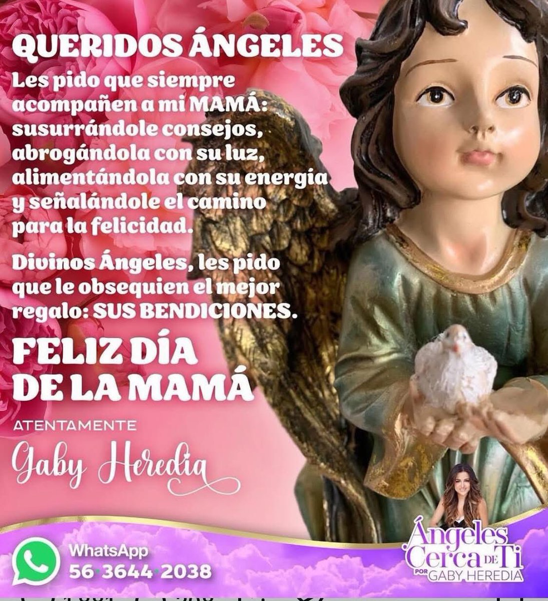 Angelcercadeti's tweet photo. "TU MAMÁ ES TU ÁNGEL TERRENAL"
Es quien te guía, te abraza con sus alas, te limpia las lágrimas y te alimenta con su amor.

Aquí te dejo una hermosa oración para que Los Ángeles protejan a tu mamá.

Felicita a tu mamá aquí en los comentarios.

Feliz día de las madres
Gaby Heredia https://t.co/Mt1G5vLum0