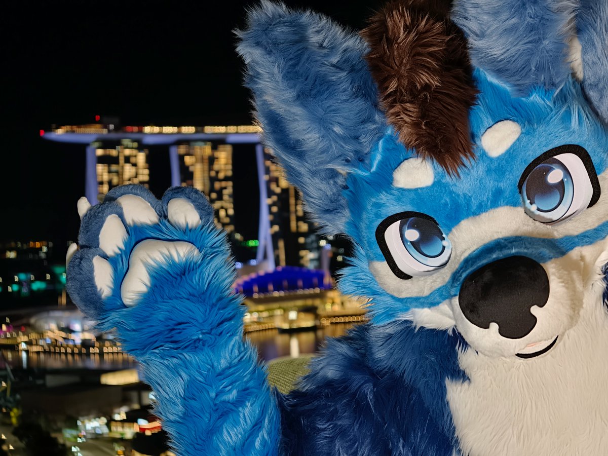 OwwyEenu's tweet photo. I skipped #FursuitFriday this week, because I was busy preparing to share in the joy of unboxing my new fursuit in a cozy environment with the company of several lovely furriends 🩵

Nearly 7 years after I got my current partial as a premade off The Dealers Den, my v2.0 has finally come full circle as a full suit of a character that is 100% mine, and I have been very pleased at how its turned out 🐕‍🦺

Thank you everyone who came from the bottom of my heart - for taking the time on a weekend, for helping out with photos, for teaching me about fursuit care, and for making my first time fullsuiting feel magical 🥹

🧵: @SymphonTail