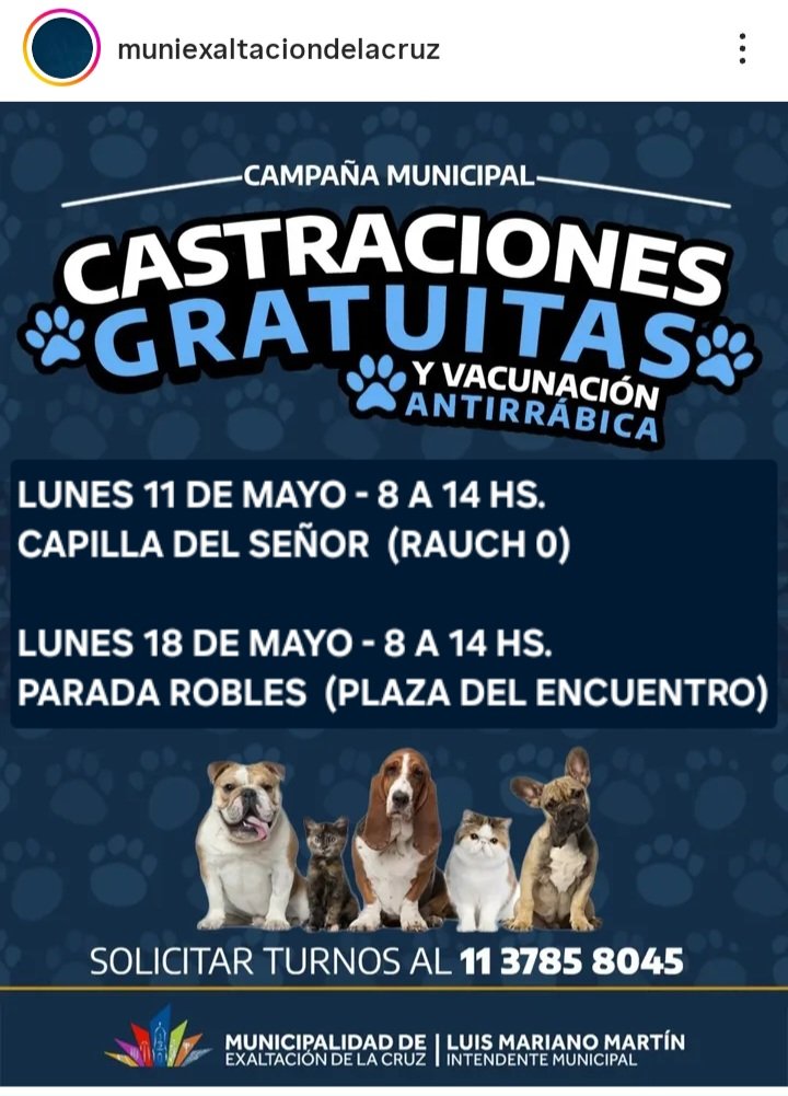 protegealanimal's tweet photo. EXALTACIÓN DE LA CRUZ
#EXALTACIÓNDELACRUZ #DIEGOGAYNOR #PAVÓN #BARRIOARTUROMATEO #BARRIOLOSPINOS #BARRIOMARÍN #BARRIOPARQUESAKURA #ARROYODELACRUZ #PUENTEFIERRO #SANJOSÉDETALA #PARADAROBLES #CAPILLADELSEÑOR #CARLOSLEMEÉ #LOSCARDALES #LASIDRERA #ZONANORTE #GRANBSAS #BUENOSAIRES https://t.co/mzjwOsKR9T