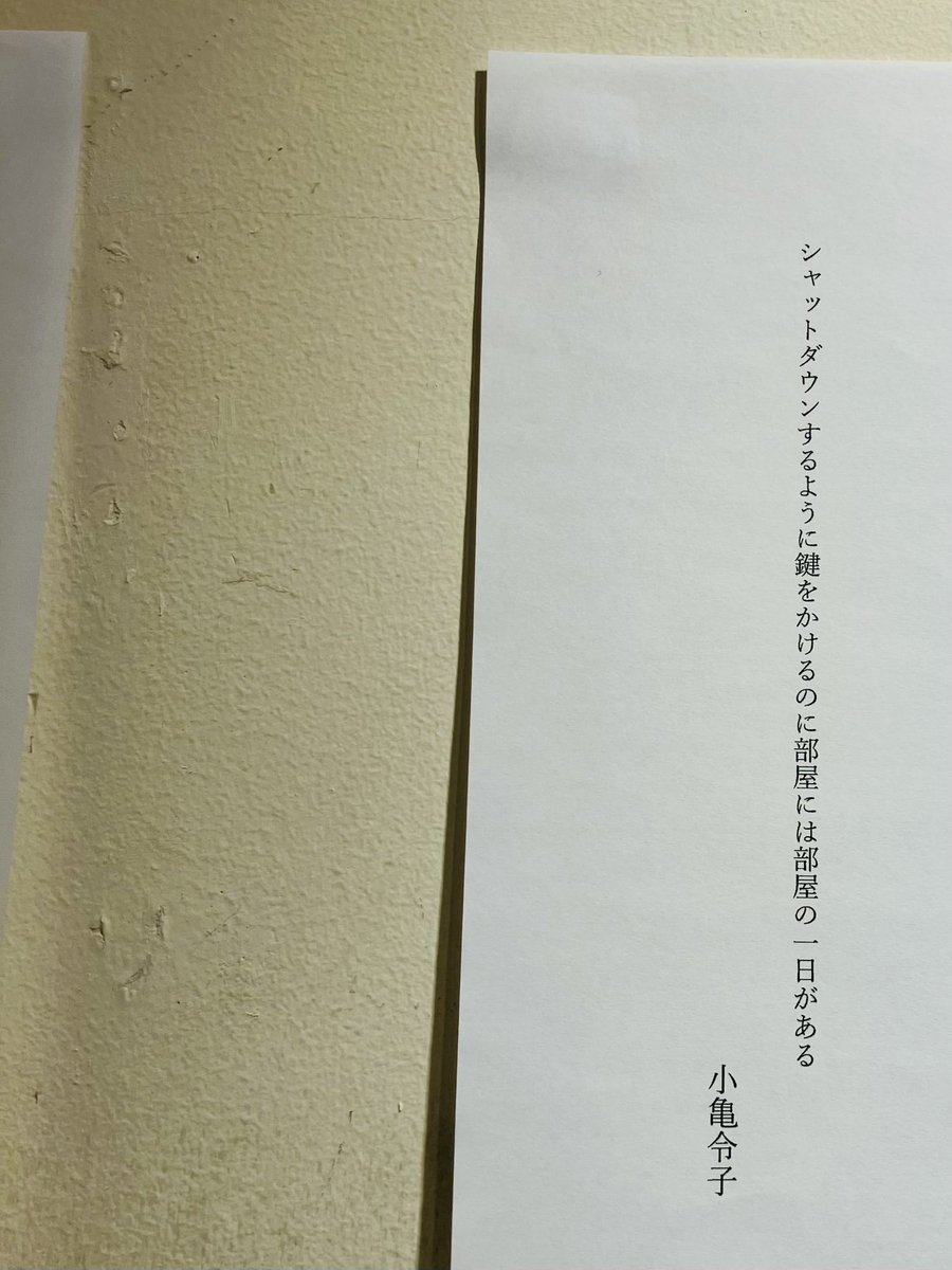 小亀令子 tweet media