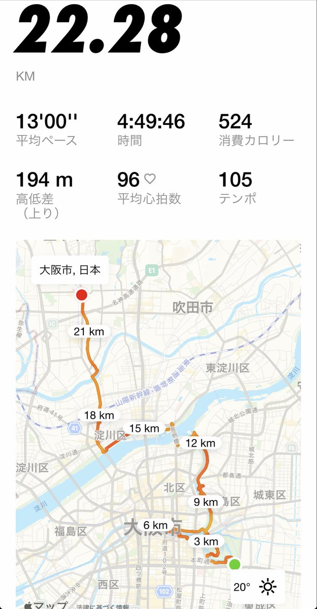 いぬまる。 tweet media