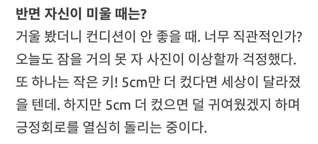 버니 tweet media