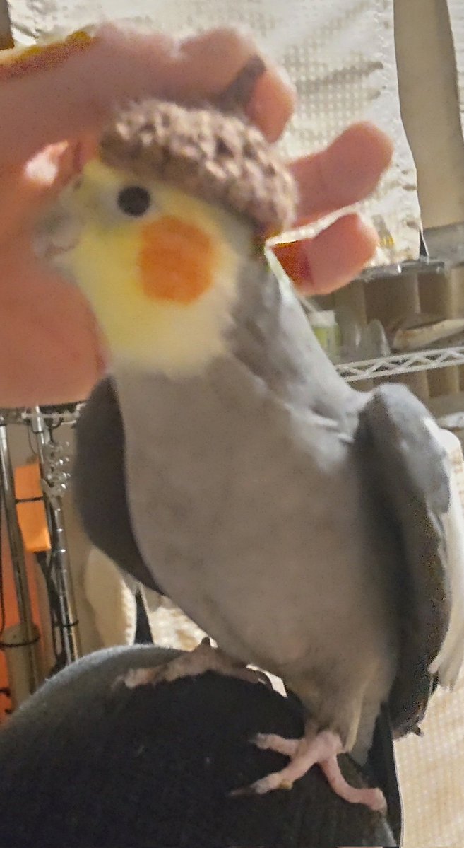 みなこ🐥 tweet media