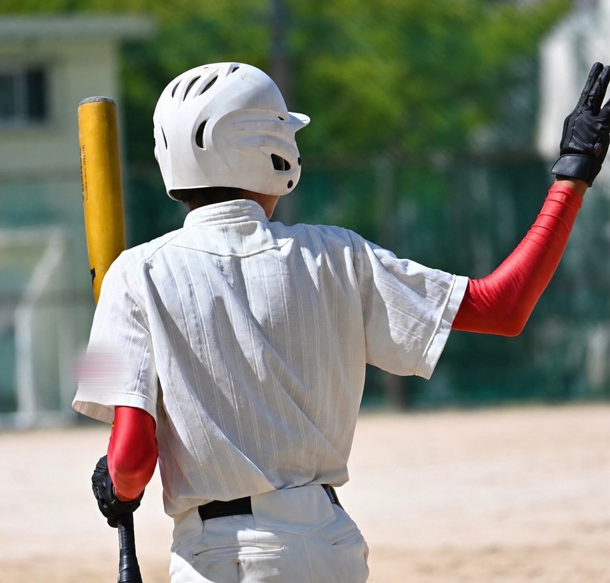 まさむね⚾️🥊 tweet media