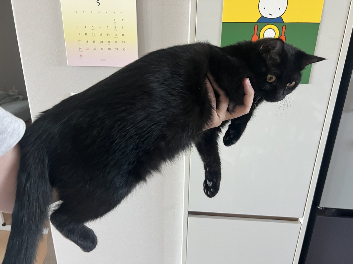 만만섭섭🐱 tweet media
