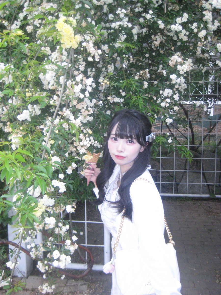 鹿野こなほ【ヒロインズ研究生大阪】 tweet media