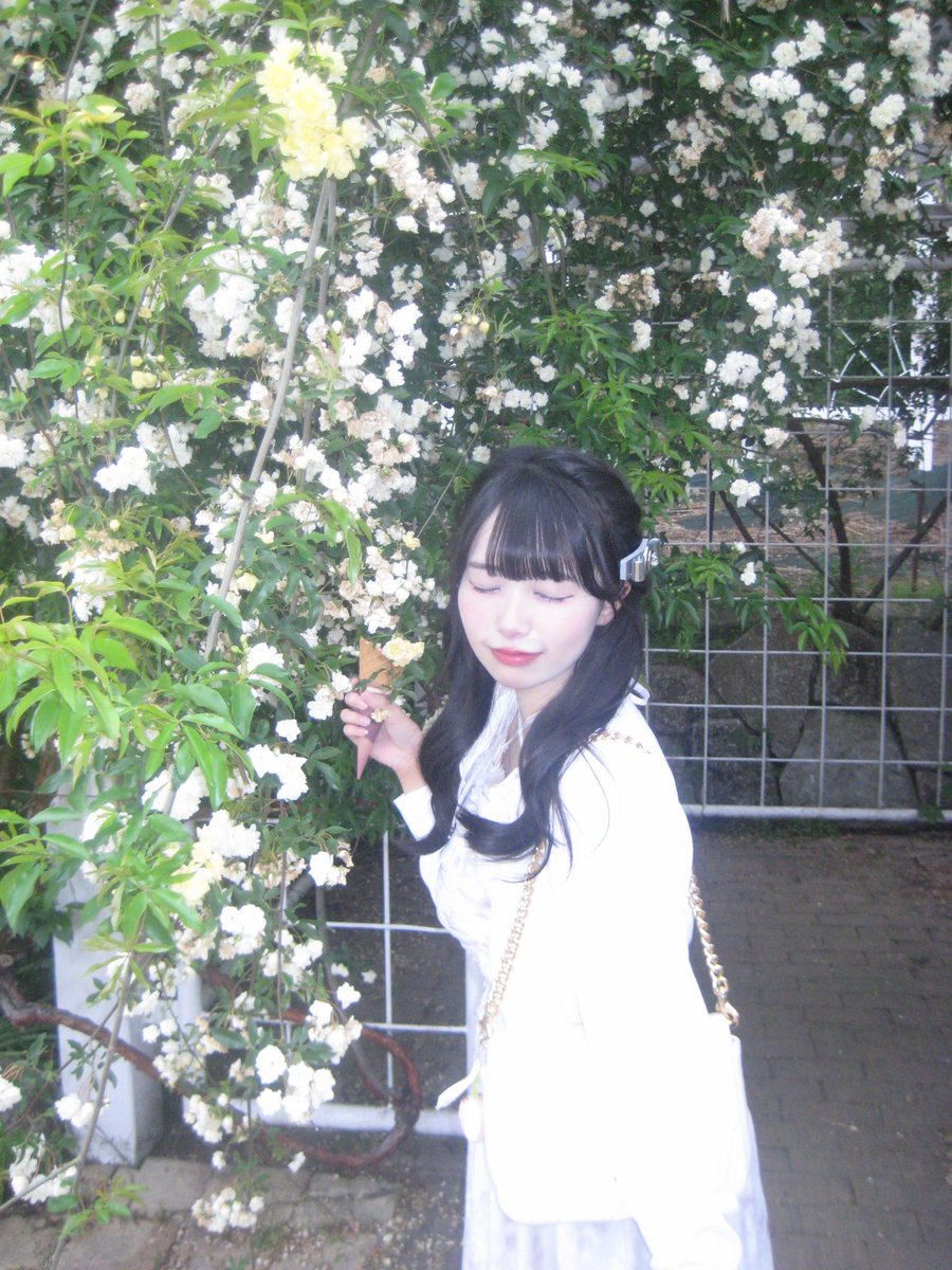 鹿野こなほ【ヒロインズ研究生大阪】 tweet media