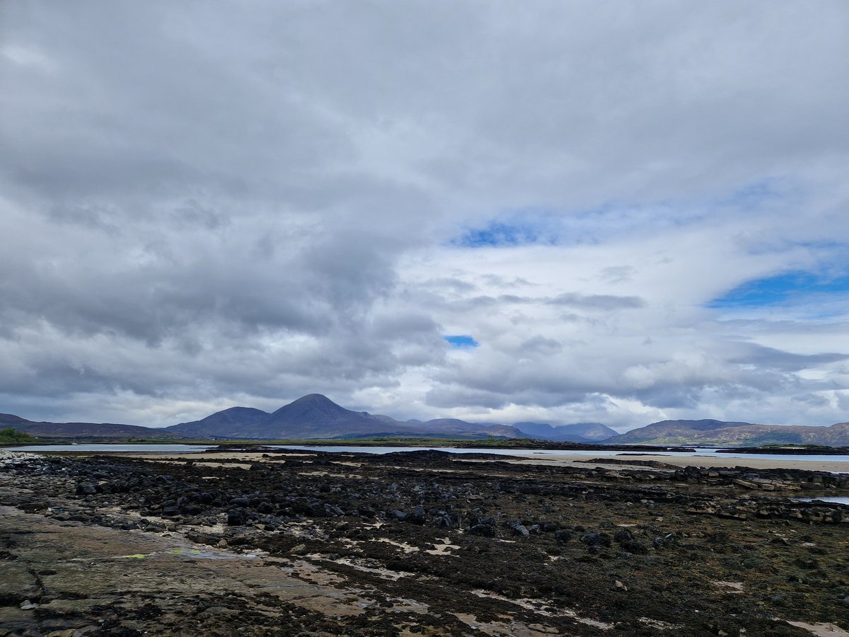 ToursNatural's tweet photo. Last day on #skye &amp; with a damp forecast and a long drive home tomorrow we decided to stay local and really pleased we did as we finally found Otters with what looked like a mum &amp; last years kit. Several GN Diver, a fine Greenshank, 5 Bar-wits, 4 Shelduck, Whinchat &amp; 8+ Wheatear https://t.co/sPMgZsF6k3