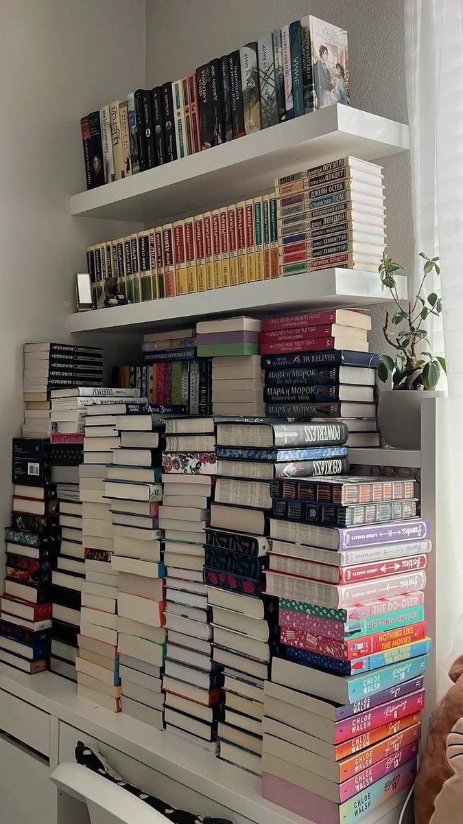 Amor por los libros tweet media