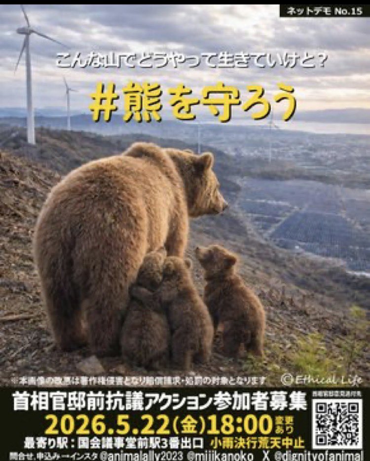 くまのページ Post by ののの on X: #熊を守ろう