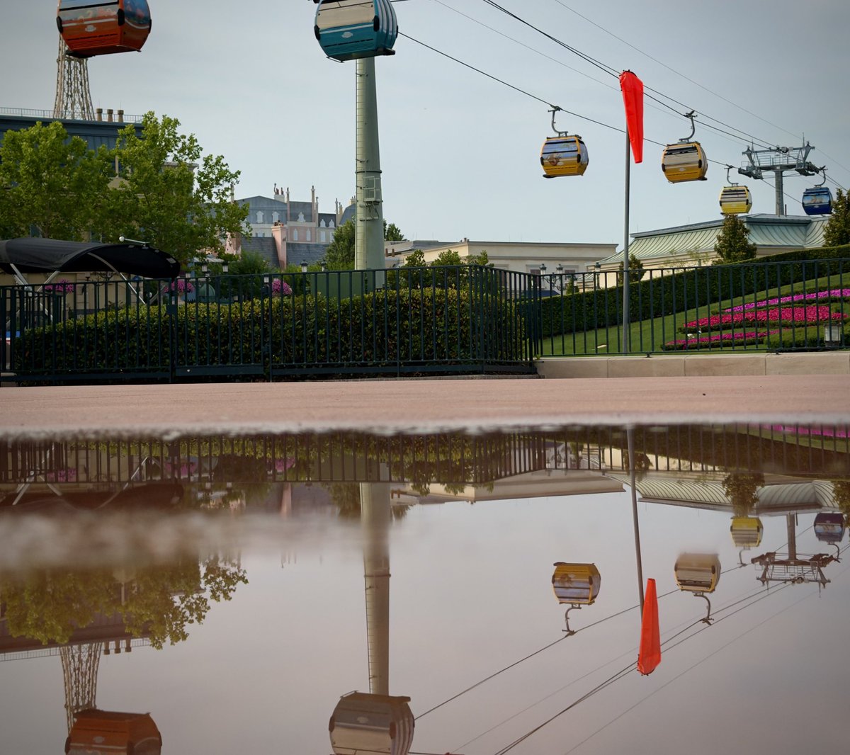 imderekbell's tweet photo. Puddle pic! https://t.co/vMZ7fqzRuz