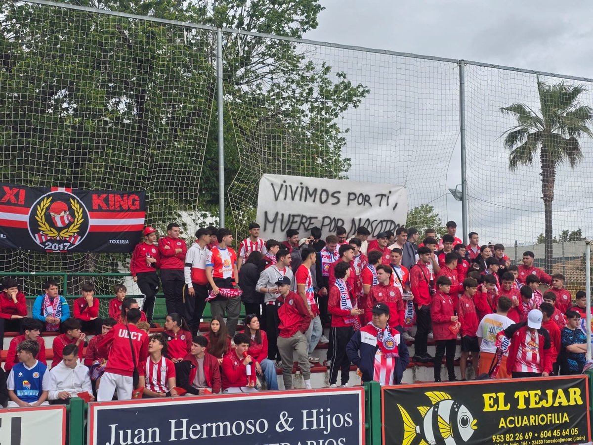 UDC Torredonjimeno tweet media
