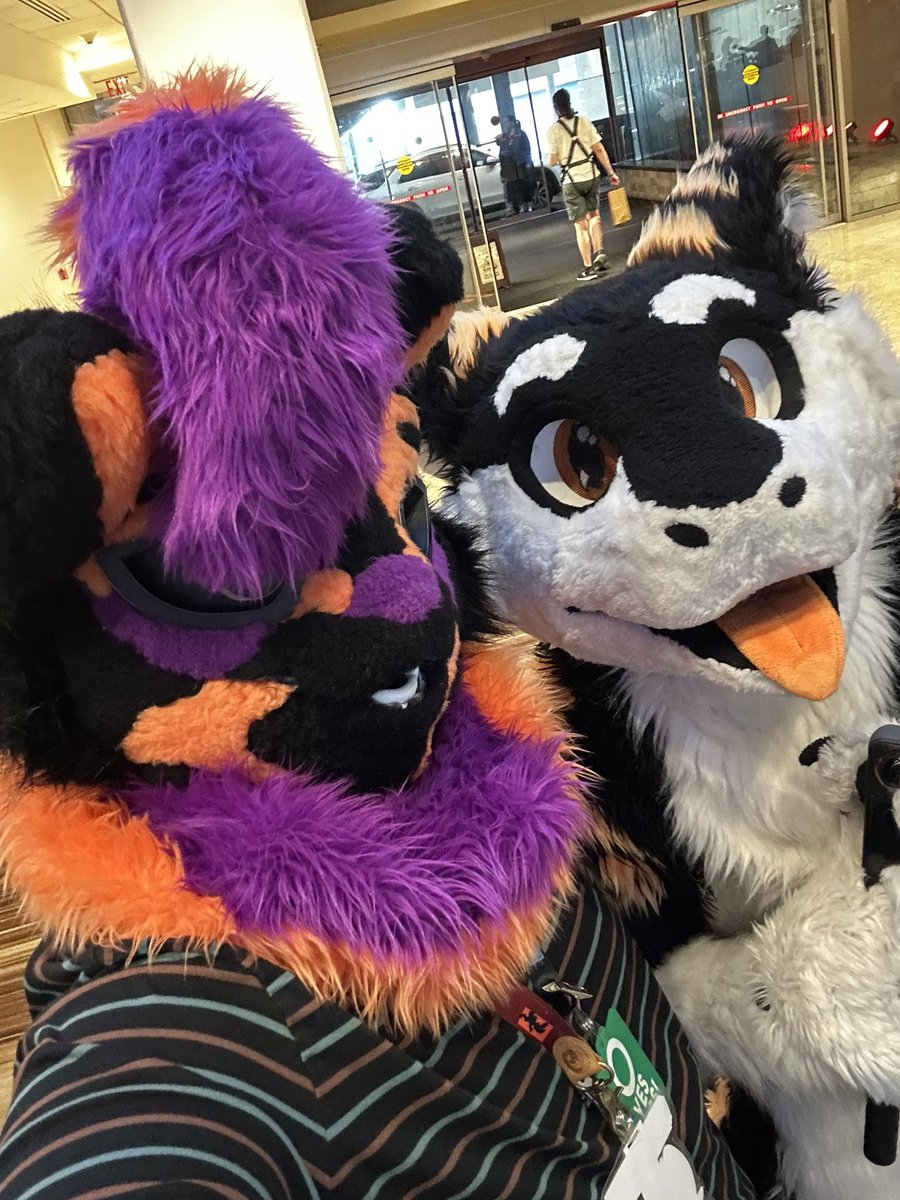 PupWinston/HocusCat🔜FWA tweet media