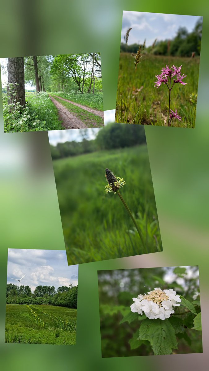 Aaltense Goor, alles met de mobiel gefotografeerd! Vanavond voor een paar dagen naar Kootwijk. Ook zin in.