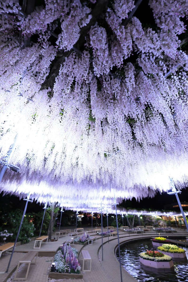 マルマル (@TGIMJcGPFppZZxP) / Posts / X