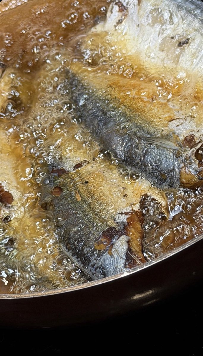 IGs update [10052026] Deep fried ~

#BuildJakapan <a href="/JakeB4rever/">BIU.</a> 
#Beyourluve