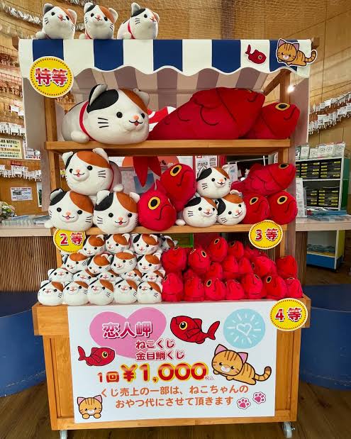 誰が金目鯛ぬいぐるみ持ってきたの𐤔𐤔𐤔