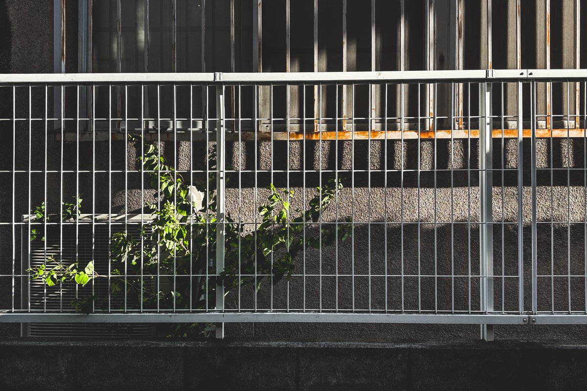 名前 tweet media