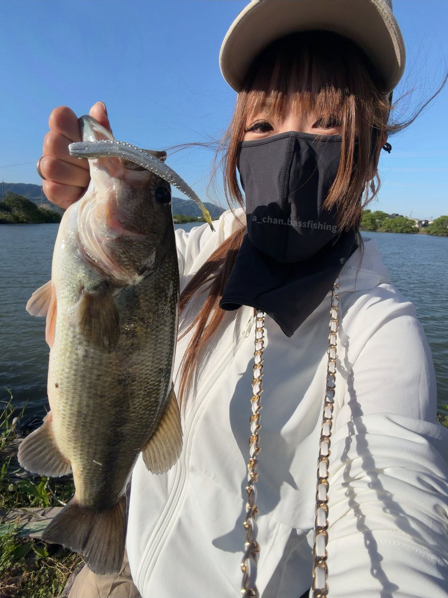 あーちゃん (@ayachibita) / Posts / X