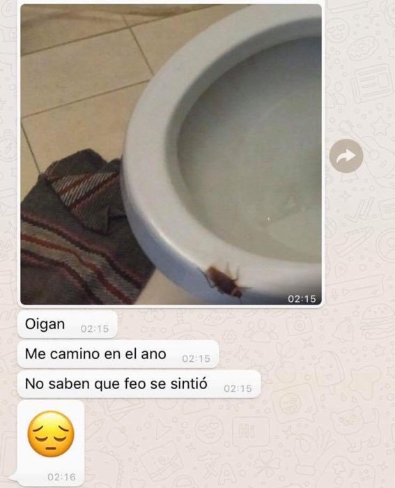 debora culos tweet media