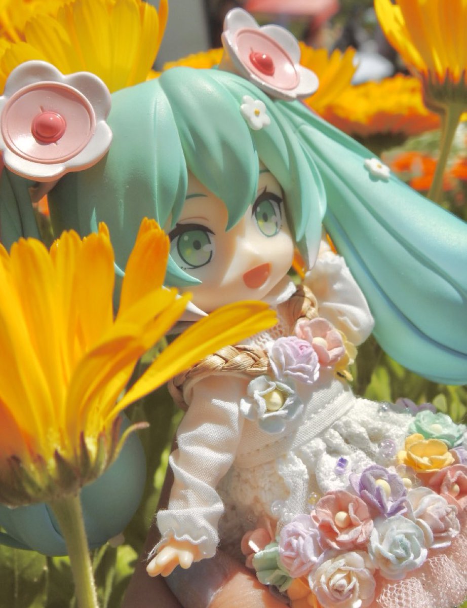 すそ★あげ吉 tweet media