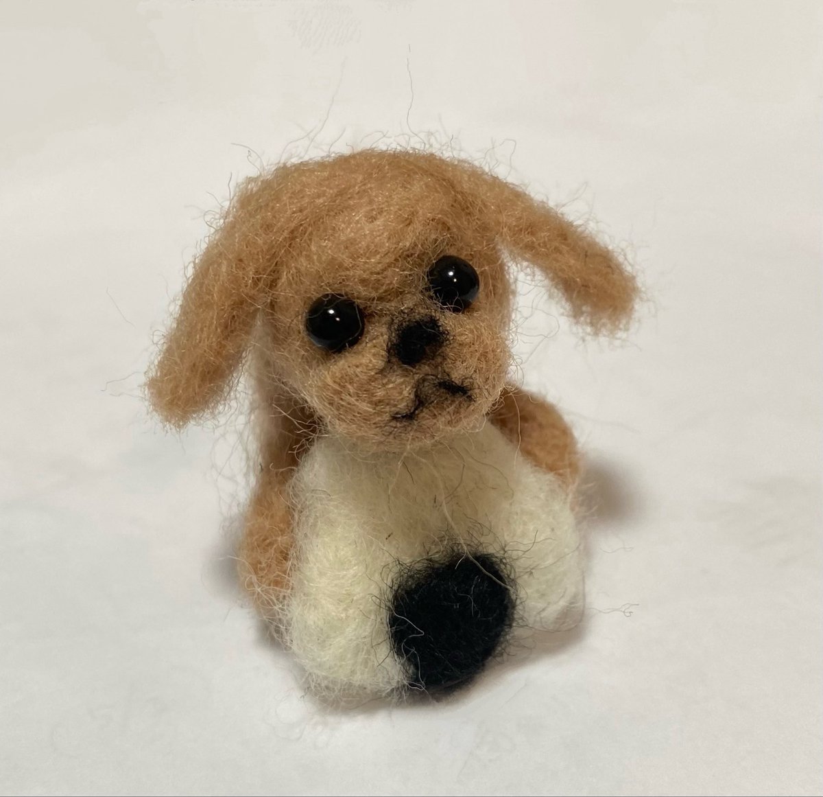pokosand's tweet photo. 息子がダイソーのキッドで作った羊毛フェルト！プードル🐩かわちい https://t.co/6kWL0X5NBc