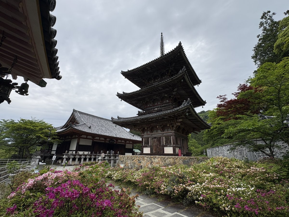 nobsait's tweet photo. #西国三十三所
6番 壷阪山 南法華寺(壷阪寺)
#日本百観音 96/100
※時差投稿です
ご本尊の十一面千手千眼観世音菩薩様は「眼の観音様」として広く信仰を集めています。眼に病を持つ家内と奈良で合流して一緒に壷阪寺をお詣りしました。
氏名を記入した木札を観音様の前で二つに割り、氏名が記入してある方を仏前にお供えして、もう片方の木札と眼病封じの御朱印を賜り持ち帰って自宅でお祀りします。ご利益があるといいな。
壷阪寺は桜の時期に大仏様が桜まみれになっている素敵な写真を良くみかけますが、大仏様はまわりに多くの石仏様を従えていて、仏像のワンダーランドになっていました。